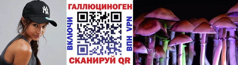 что такое наркотик  Шиханы  Галлюциногенные грибы GOLDEN TEACHER 